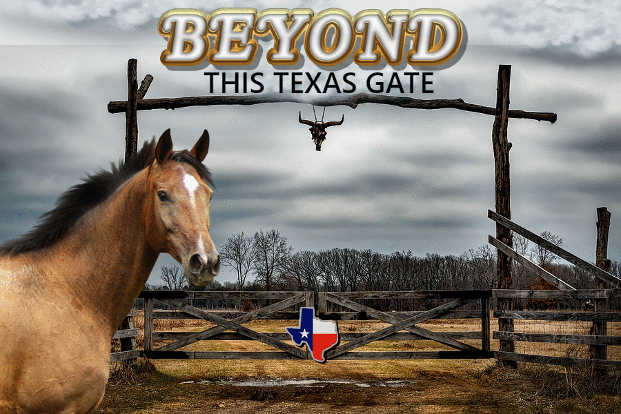 texassizetraffic.com beyond Splash